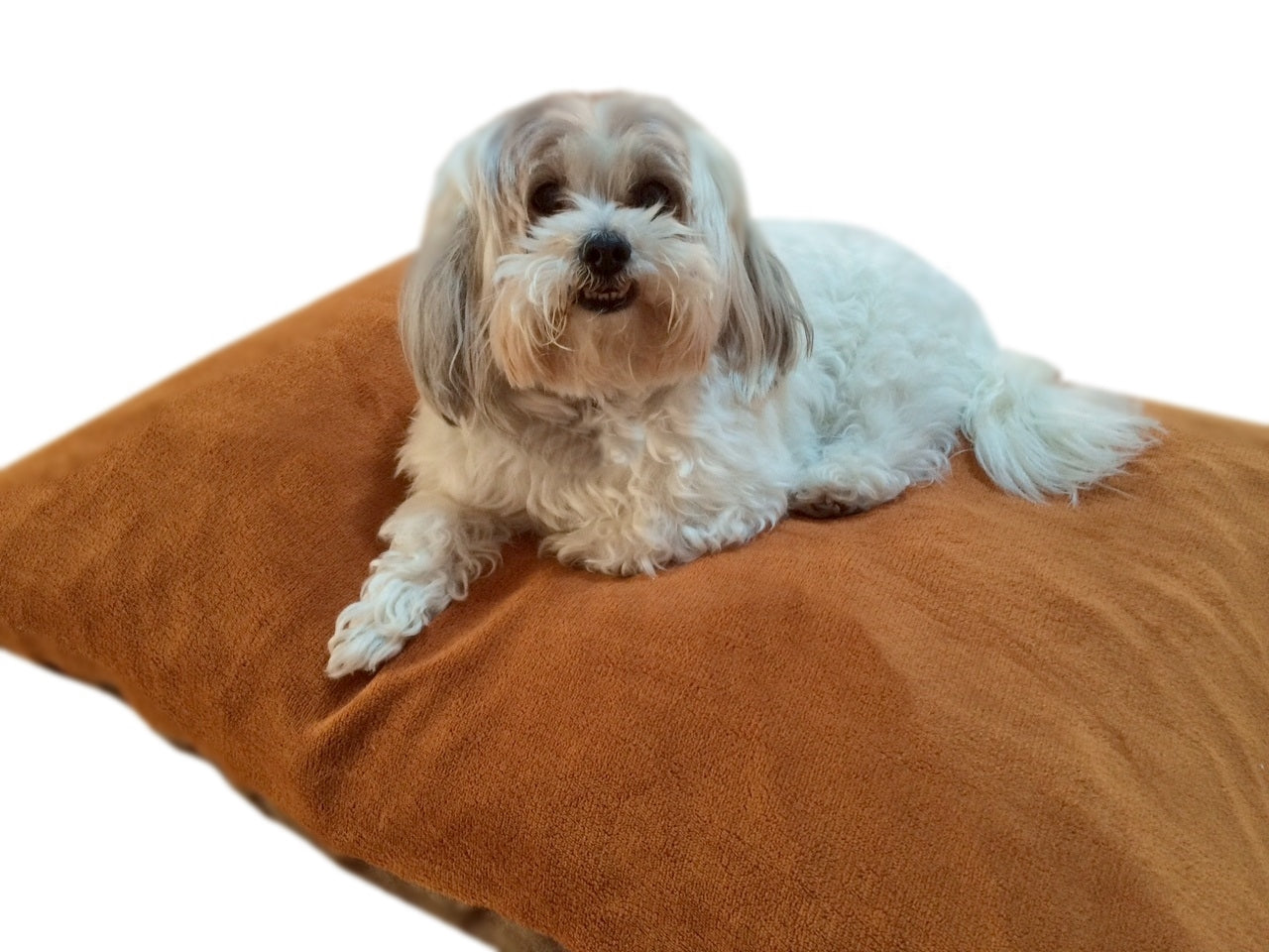 Durable Comfort Micro-Cushion Memory Foam Pet Dog Pillow Bed with Waterproof Liner + External Cover for S,M,L Dogs- Complete Set (2 Sizes, 14 Colors)