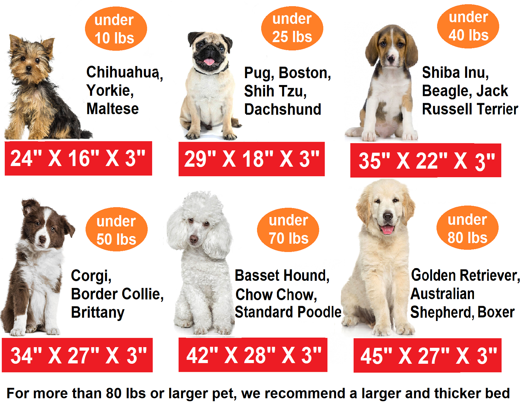 3 Inches Waterproof Memory Foam Platform Dog Crate Bed with 6 Sizes