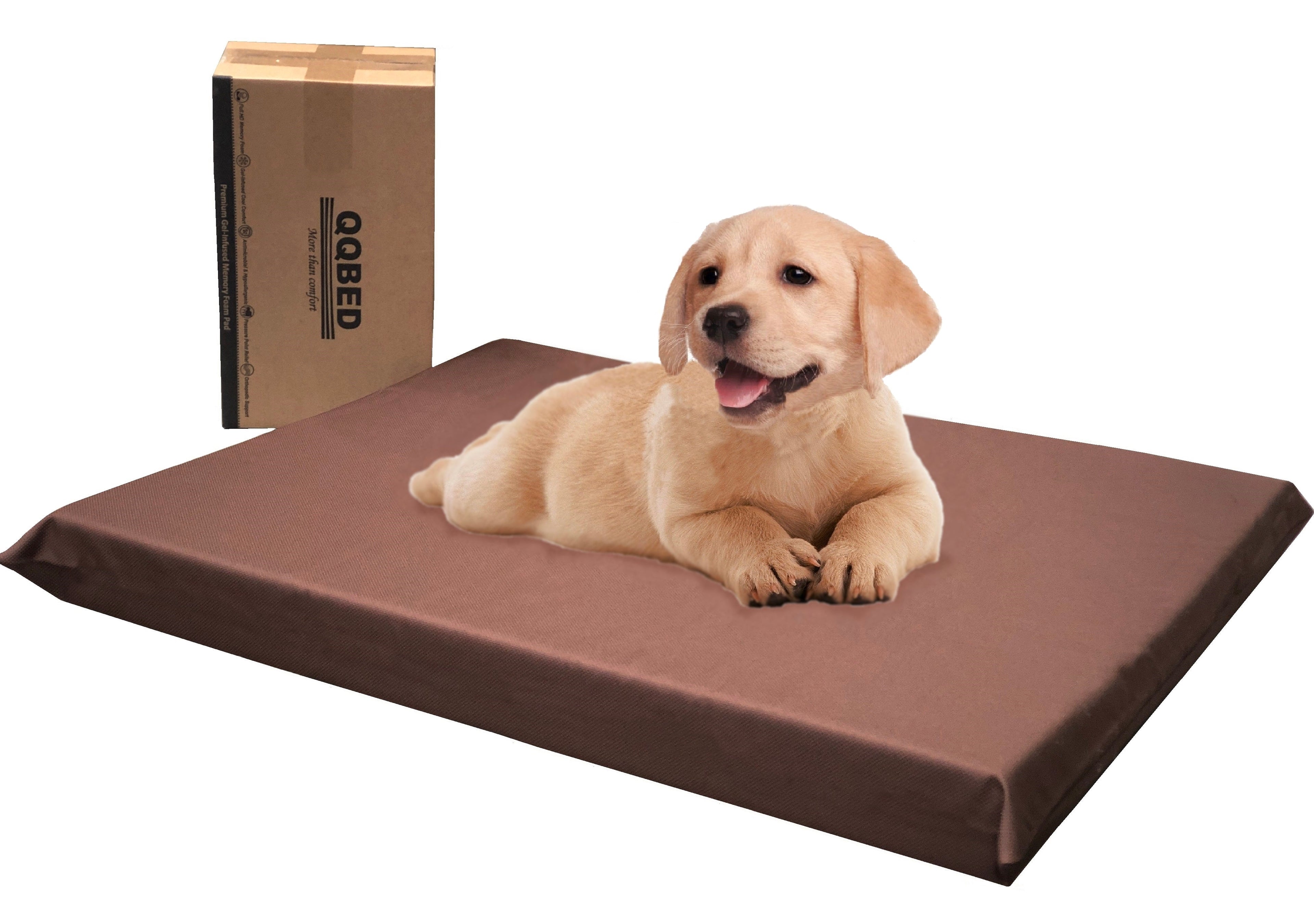 3" Waterproof Gel Memory Foam Pet Bed with Vibrant Color - 2 Sizes in 6 Colors