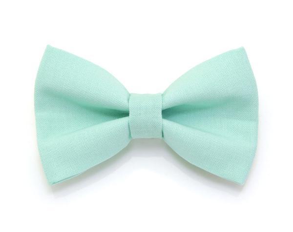 Cat Collar and Bow Tie Set  - Mint