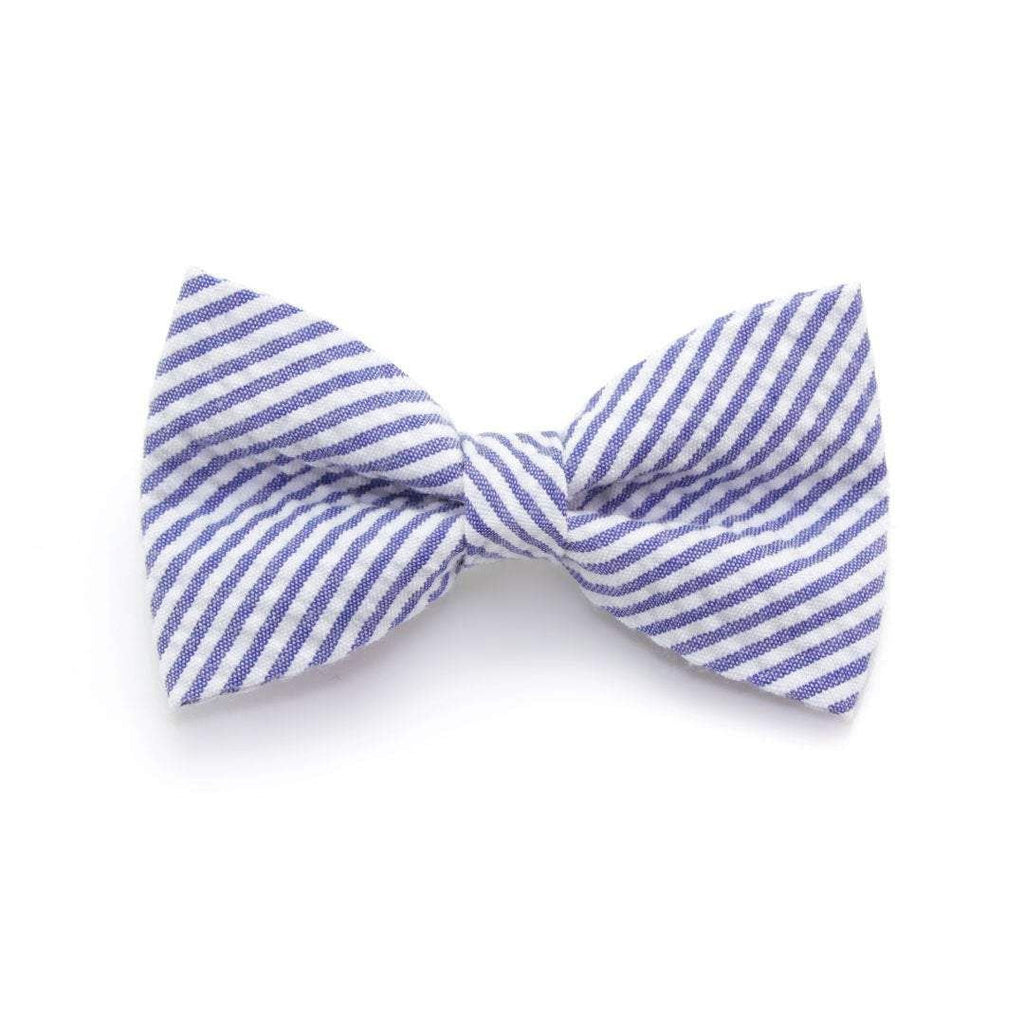 Cat Collar Set  - Newport