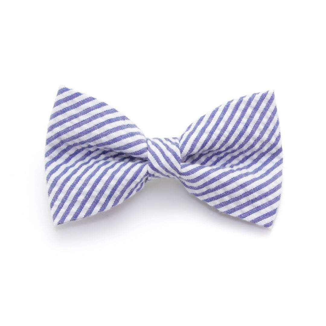 Cat Collar Set  - Newport