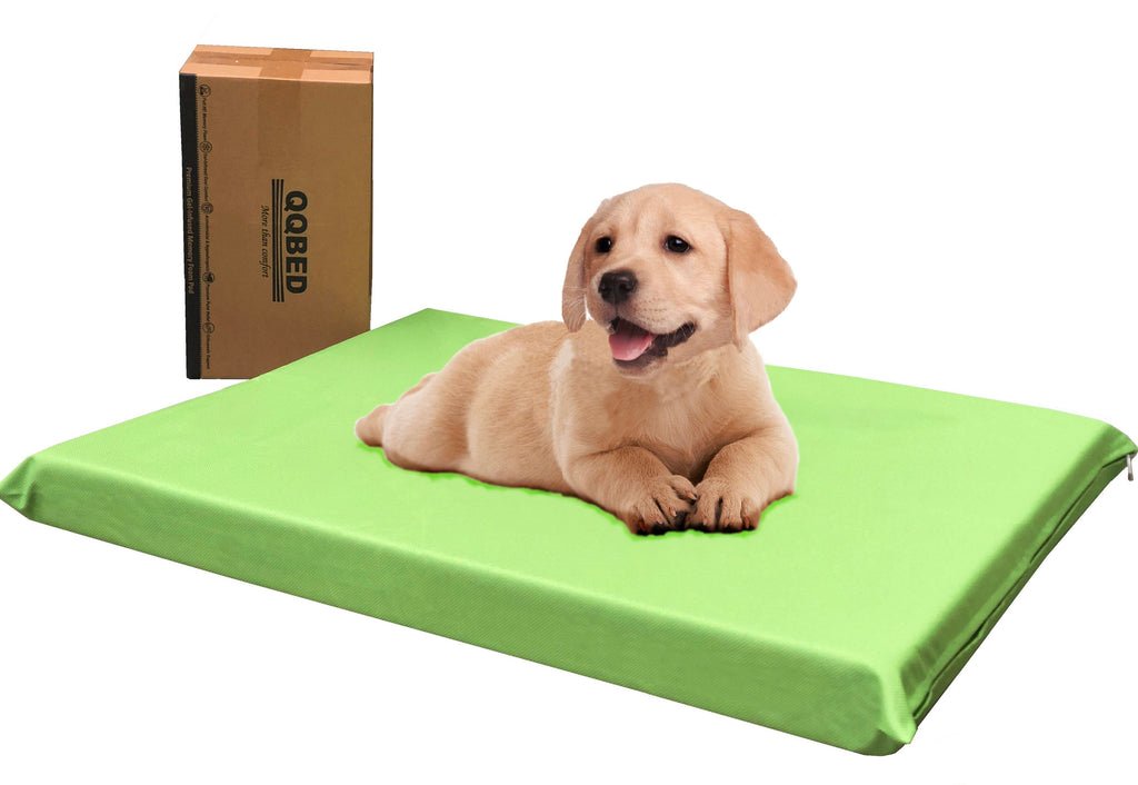 3" Waterproof Gel Memory Foam Pet Bed with Vibrant Color - 2 Sizes in 6 Colors