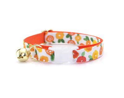 Pet Collar - Marigold  - Orange and Yellow Floral