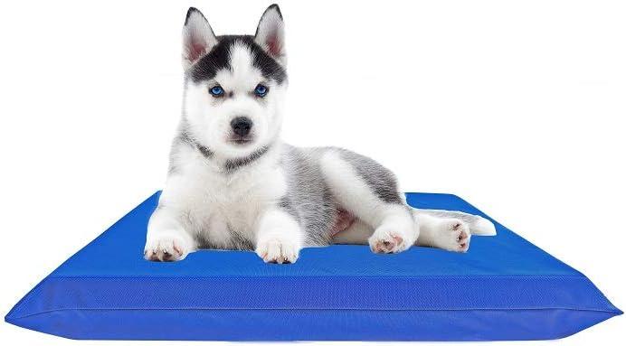 Durable Comfort Micro-Cushion Memory Foam Pet Dog Pillow Bed with Waterproof Liner + External Cover for S,M,L Dogs- Complete Set (2 Sizes, 14 Colors)