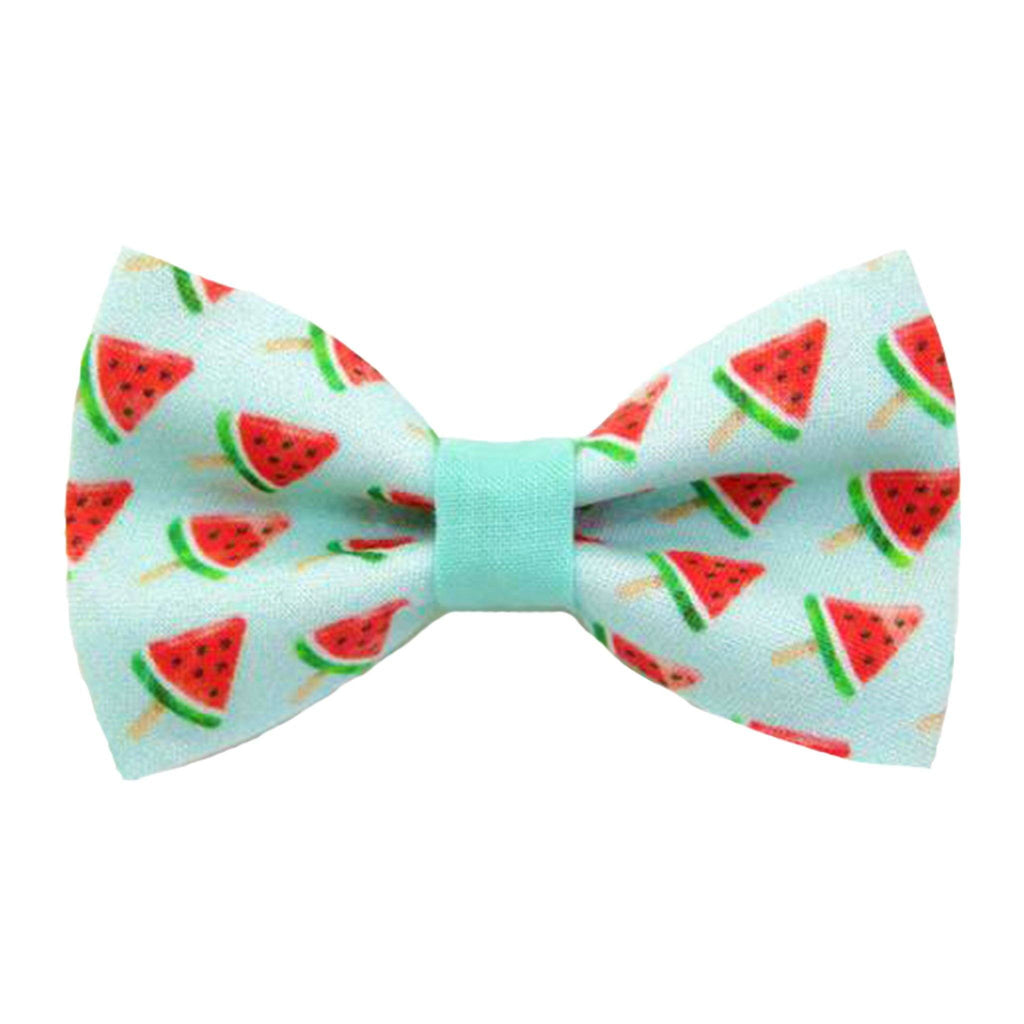 Pet Collar -  Watermelon Pops