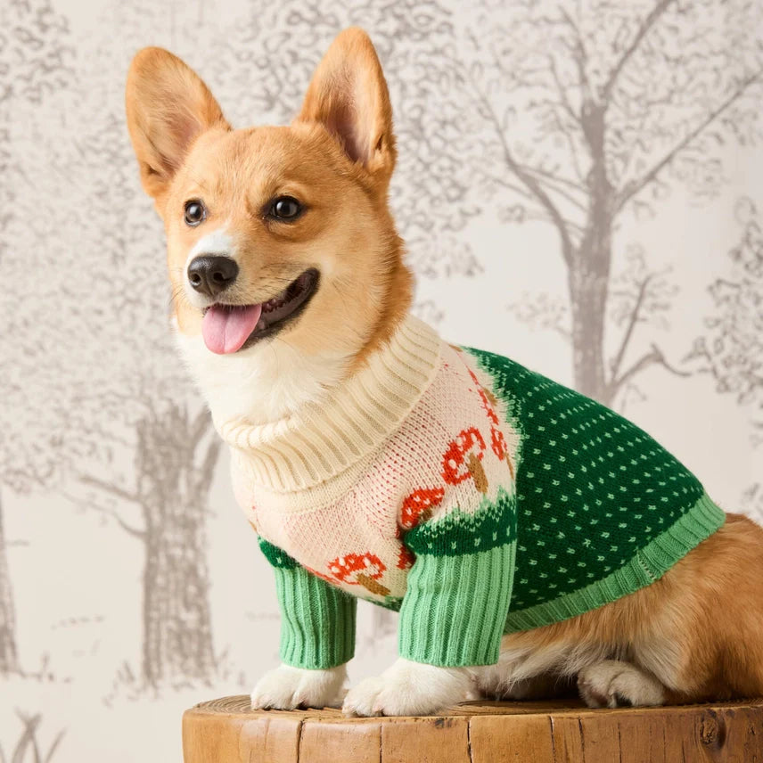 The Foggy Dog Toadstool Sweater