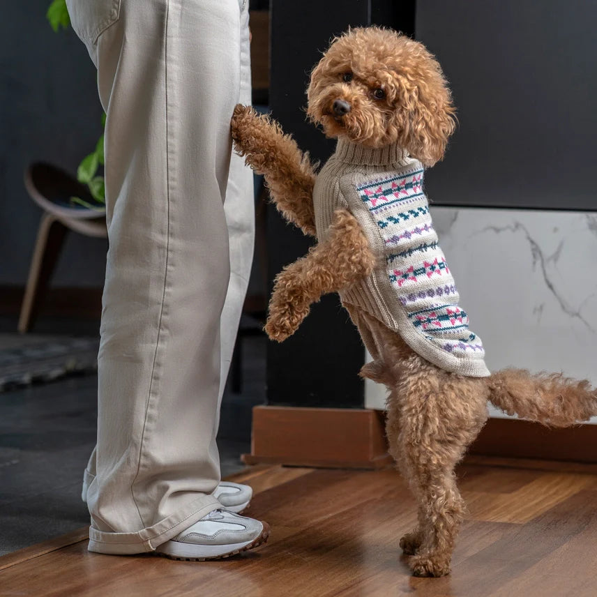 Serendipity Alpaca Dog Sweater